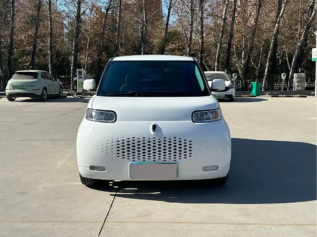 2022 Ora WhiteCat BEV 29.4KWH,autocango,china used car exporter,china ev exporter,chinese used car exporter,chinese used ev exporter