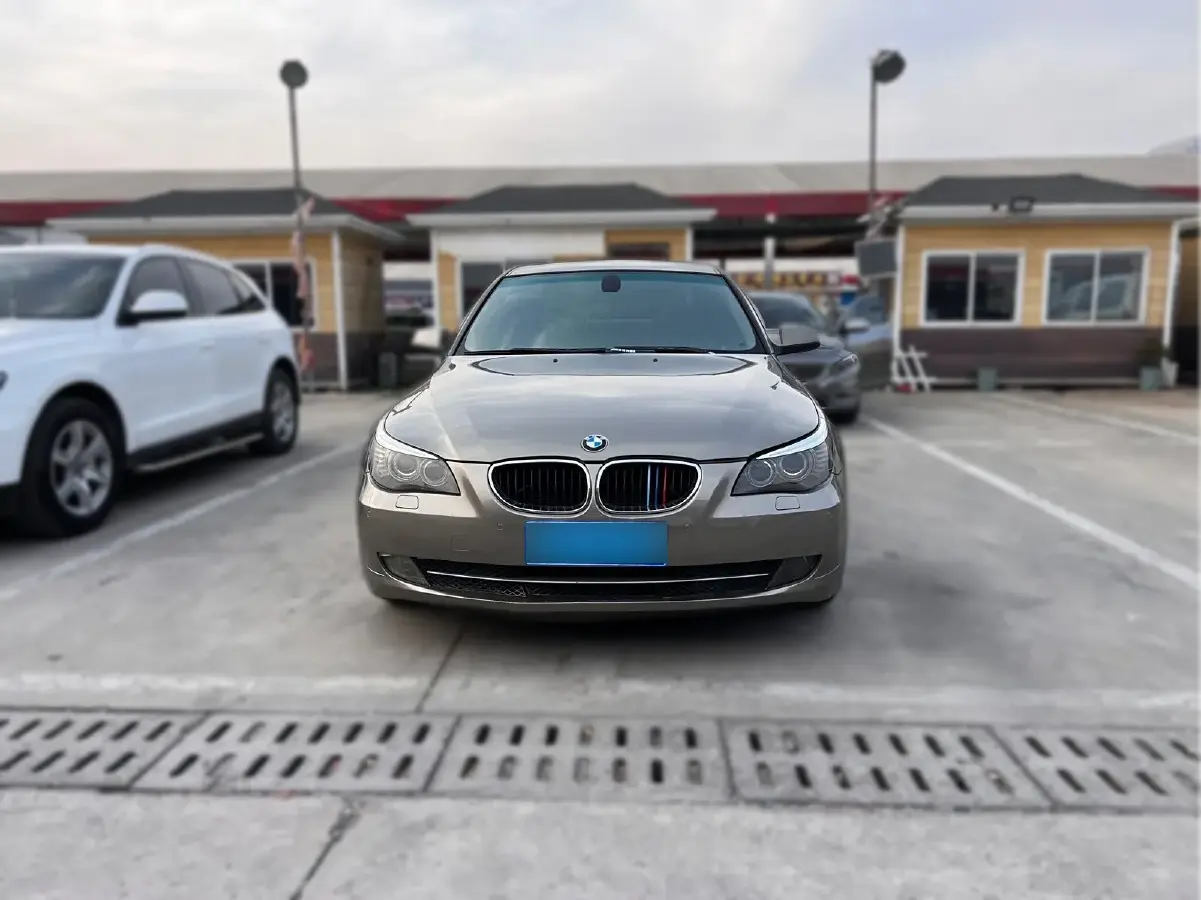 2010 BMW 5 Series 2.0L 152HP L4 6AT