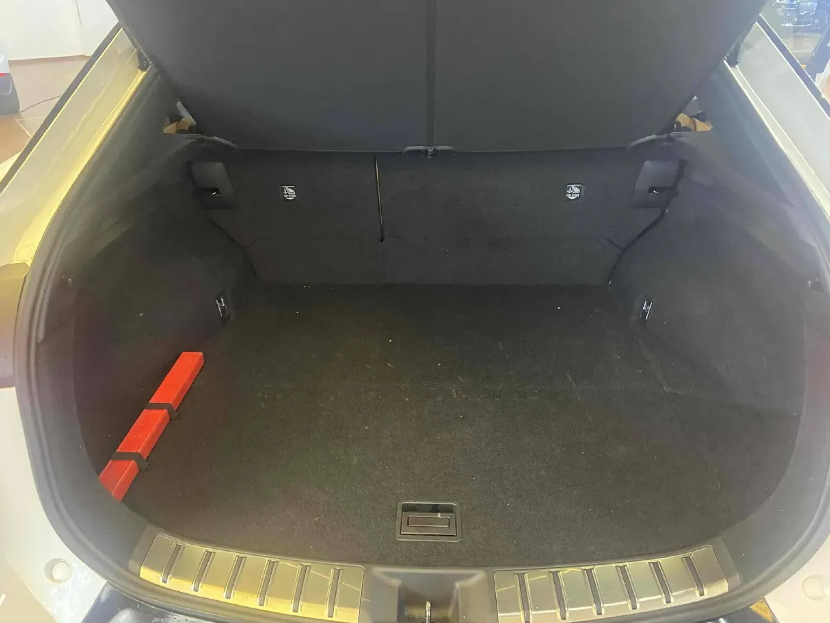 2023 Lexus RZ BEV 66KWH,autocango,china used car exporter,china ev exporter,chinese used car exporter,chinese used ev exporter