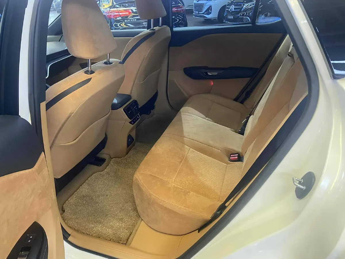 2023 Lexus RZ BEV 66KWH,autocango,china used car exporter,china ev exporter,chinese used car exporter,chinese used ev exporter