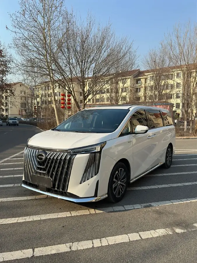 2024 GAC Trumpchi M8 2.0T 252HP L4 8AT