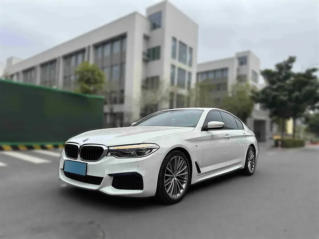 2019 BMW 5 Series 2.0T 252HP L4 8AT