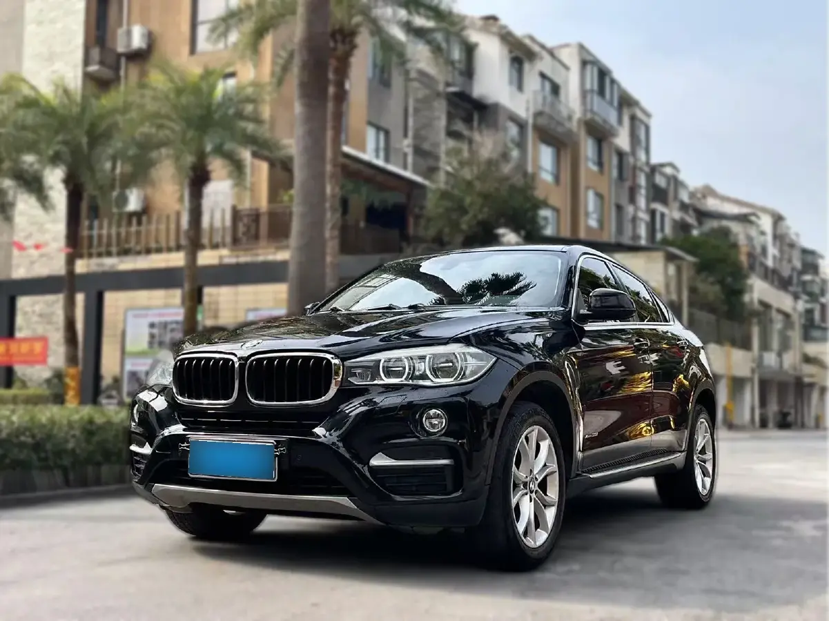 2017 BMW X6 3.0T 306HP L6 8AT