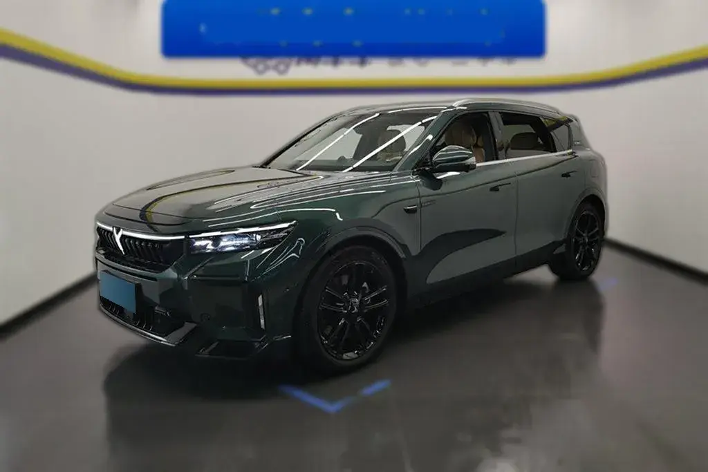 2024 Voyah FREE 1.5T 150HP L4 REEV 39.2KWH