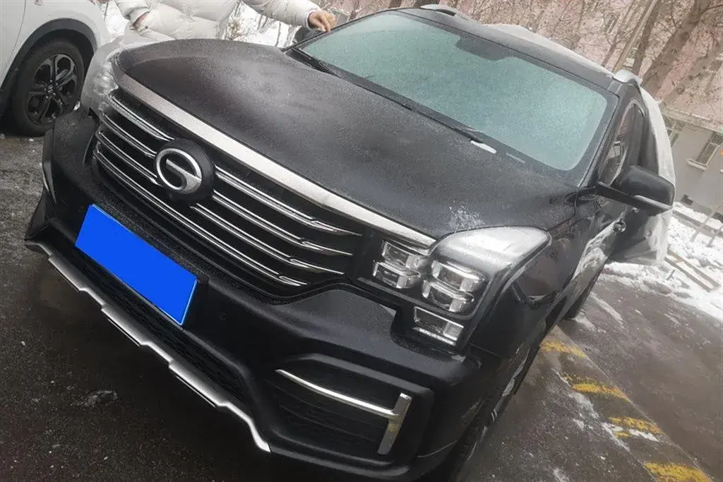 2020 GAC Trumpchi GS8 2.0T 252HP L4 6AT