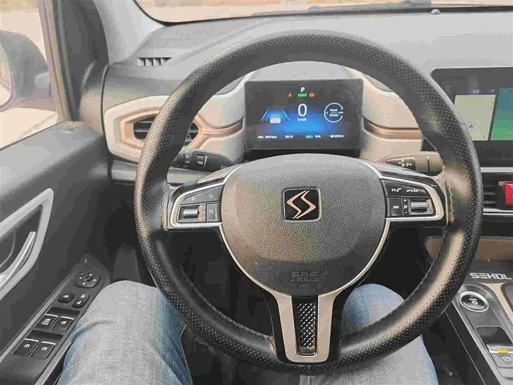 2021 Sehol HuaXianZi BEV 31.4KWH,autocango,china used car exporter,china ev exporter,chinese used car exporter,chinese used ev exporter