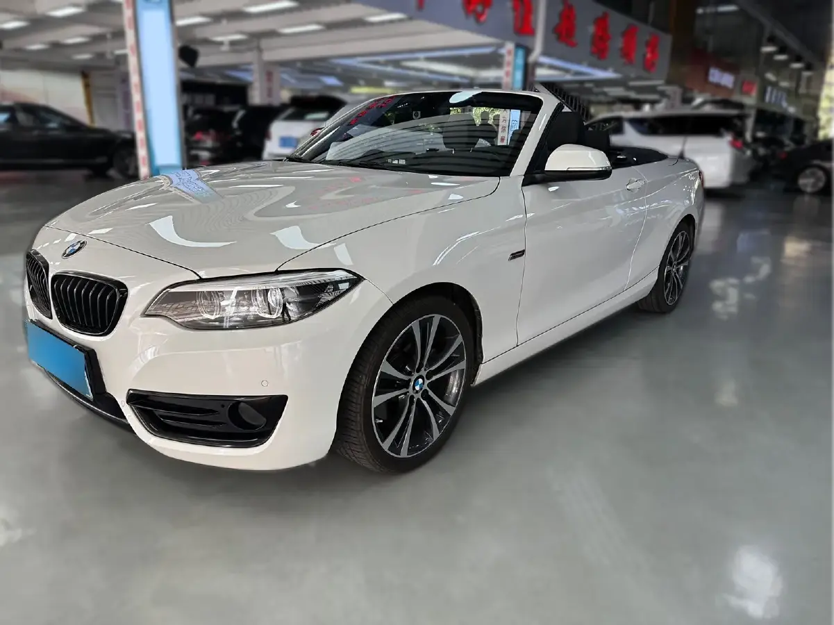 2019 BMW 2 Series 2.0T 184HP L4 8AT