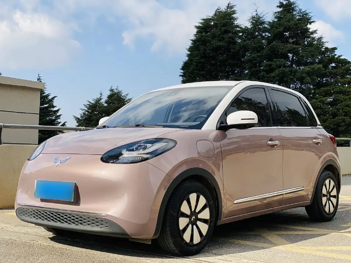 2023 WuLing BinGuo BEV 31.9KWH
