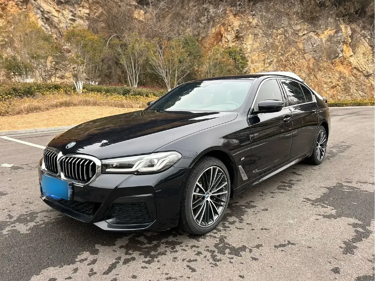 2022 BMW 5 Series 2.0T 252HP L4 8AT
