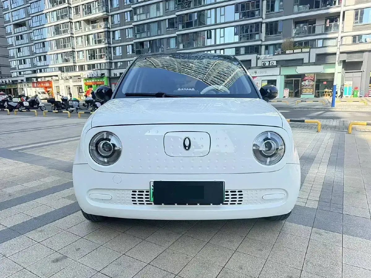 2022 Ora BlackCat BEV 30.3KWH