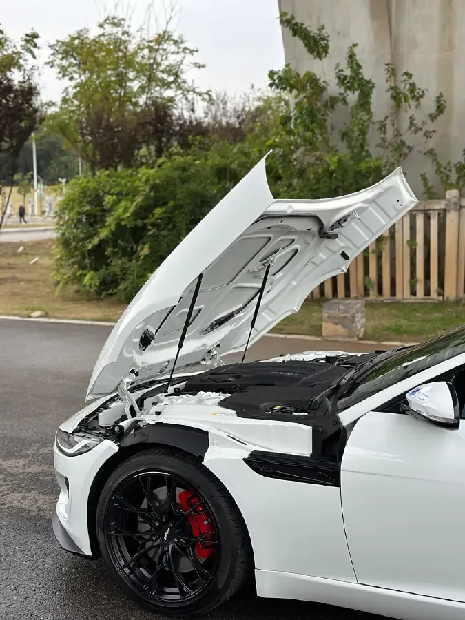 2021 Jaguar F-TYPE 2.0T 300HP L4 8AT,autocango,china used car exporter,china ev exporter,chinese used car exporter,chinese used ev exporter