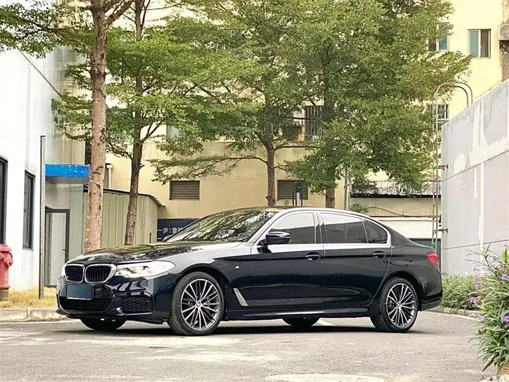 2020 BMW 5 Series 2.0T 252HP L4 8AT