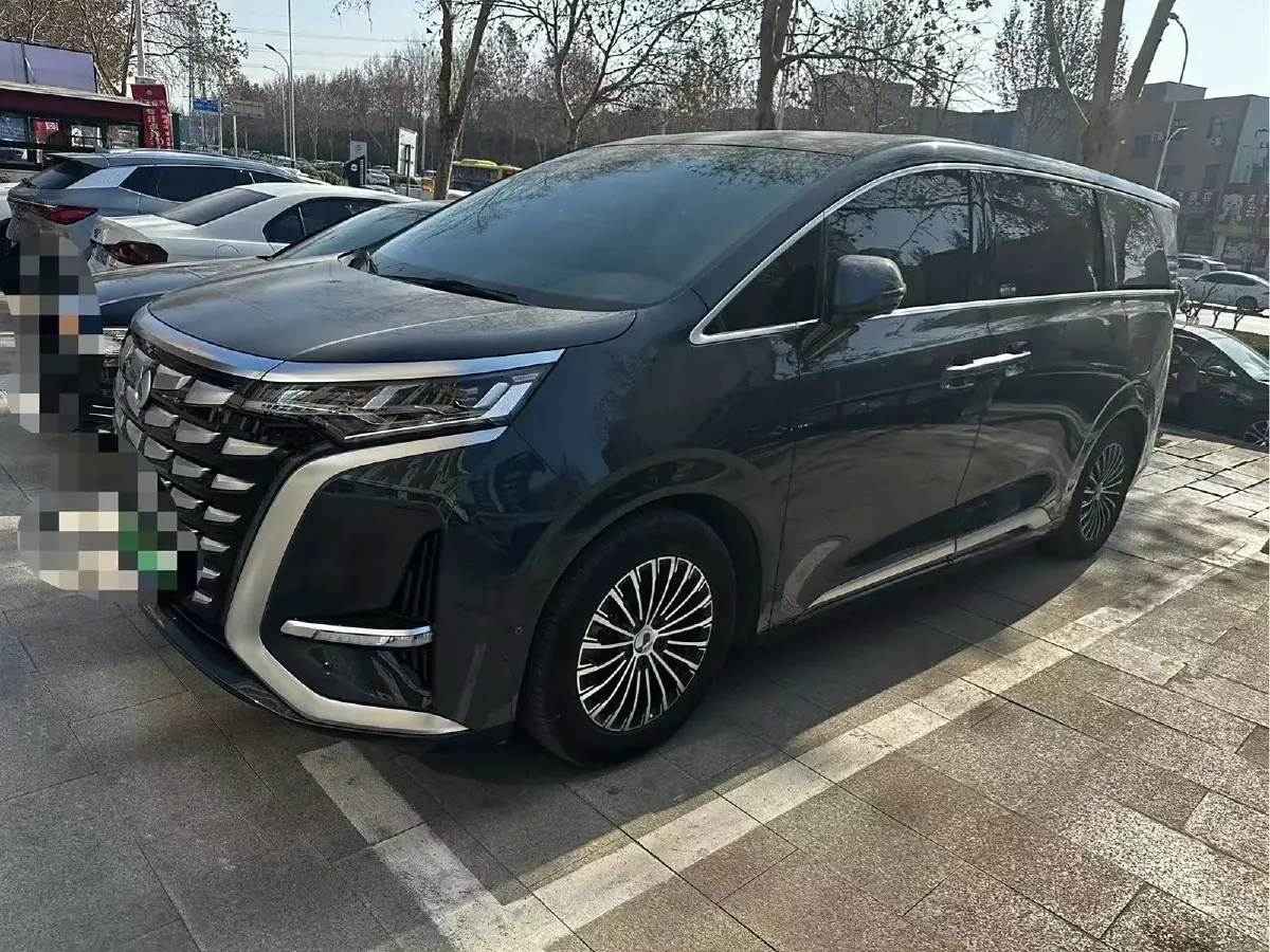 2022 Denza D9 1.5T 139HP L4 E-CVT PHEV 40.06KWH