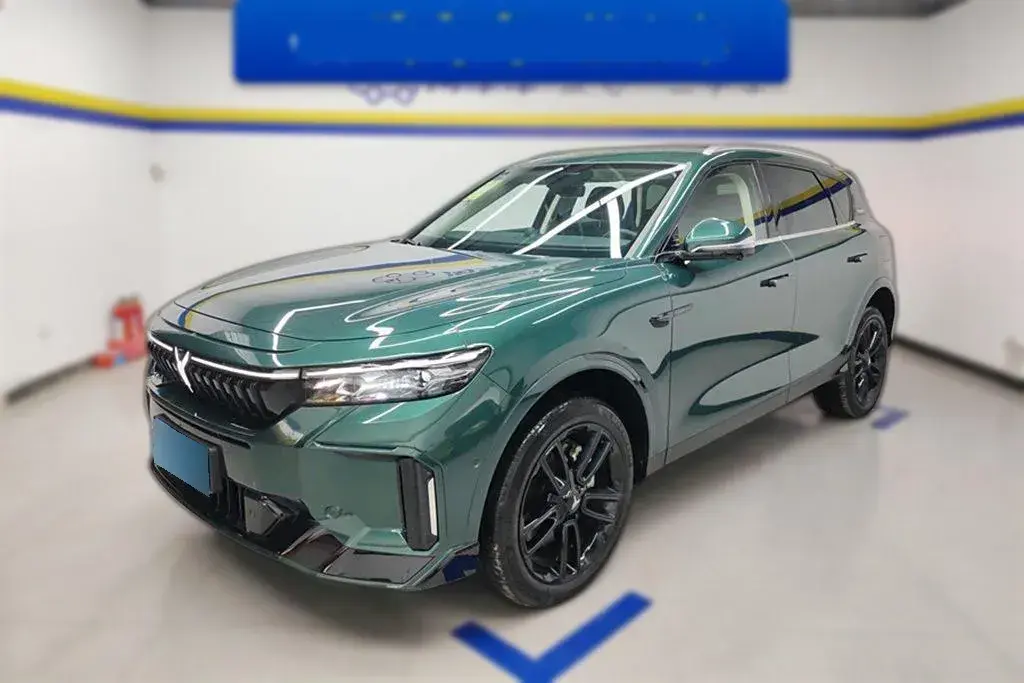 2024 Voyah FREE 1.5T 150HP L4 REEV 39.2KWH