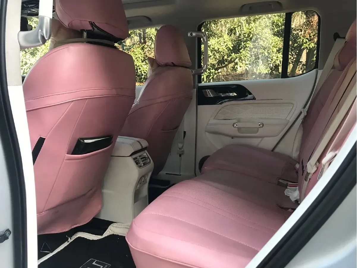 2021 Cyberspace 300 2.0T 227HP L4 8AT,autocango,china used car exporter,china ev exporter,chinese used car exporter,chinese used ev exporter