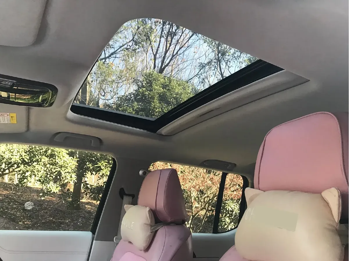 2021 Cyberspace 300 2.0T 227HP L4 8AT,autocango,china used car exporter,china ev exporter,chinese used car exporter,chinese used ev exporter