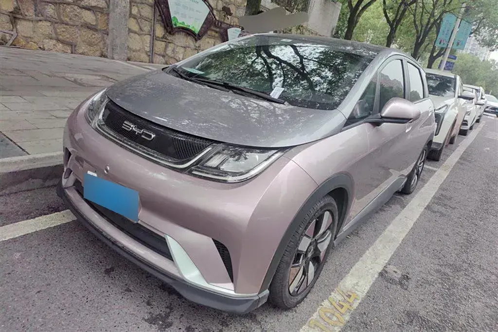 2021 BYD Dolphin BEV 44.9KWH