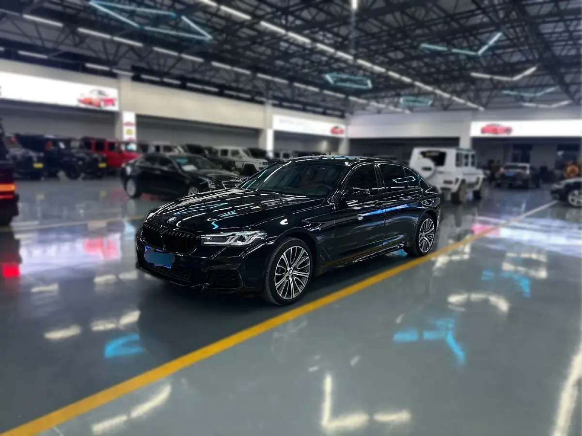 2018 BMW 5 Series 2.0T 252HP L4 8AT