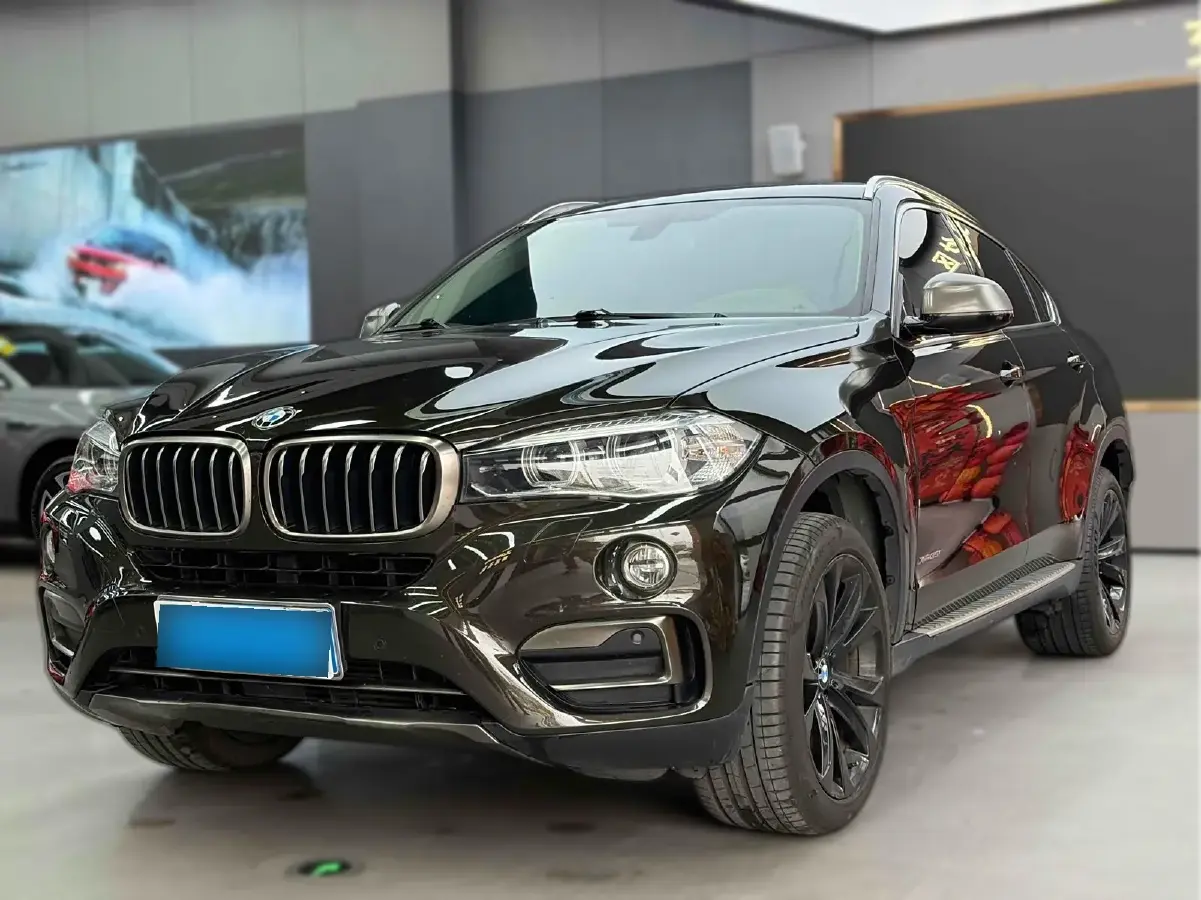 2018 BMW X6 3.0T 306HP L6 8AT