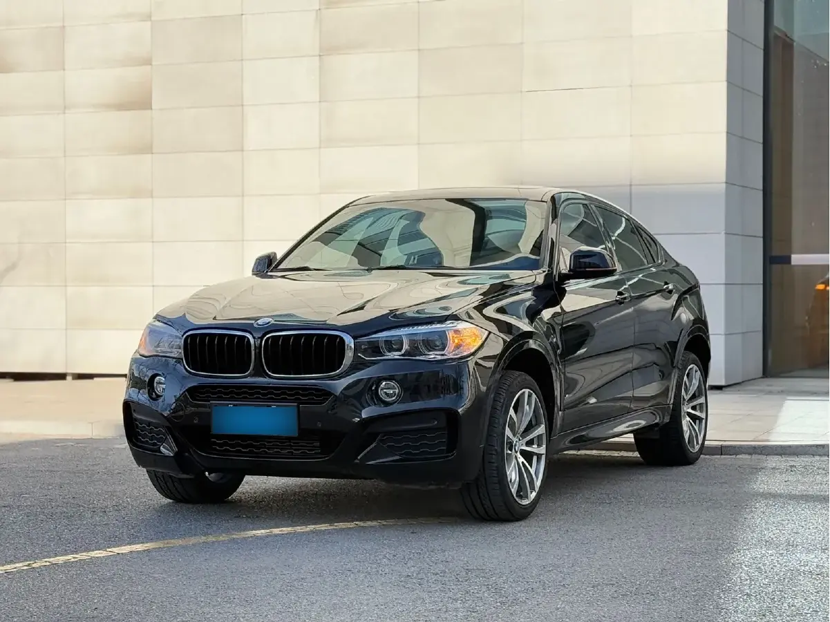 2019 BMW X6 2.0T 245HP L4 8AT