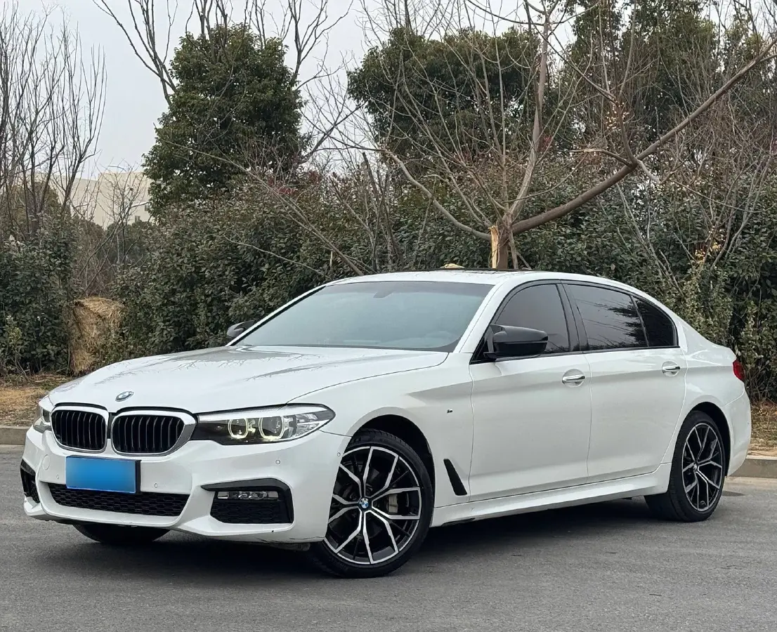2018 BMW 5 Series 2.0T 252HP L4 8AT