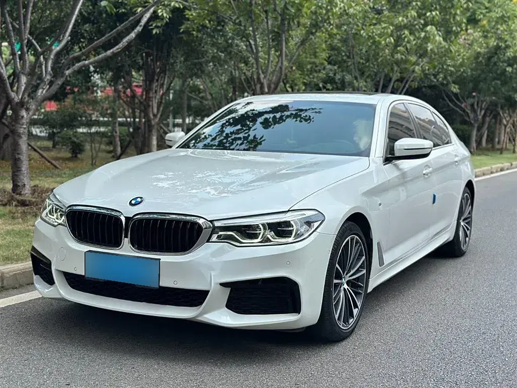 2020 BMW 5 Series 2.0T 252HP L4 8AT