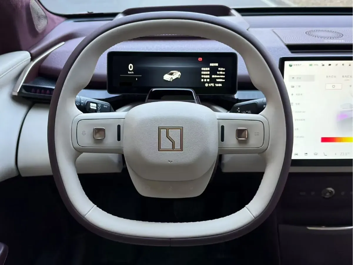 2024 Zeekr X BEV 66KWH,autocango,china used car exporter,china ev exporter,chinese used car exporter,chinese used ev exporter