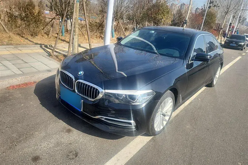 2019 BMW 5 Series 2.0T 252HP L4 8AT