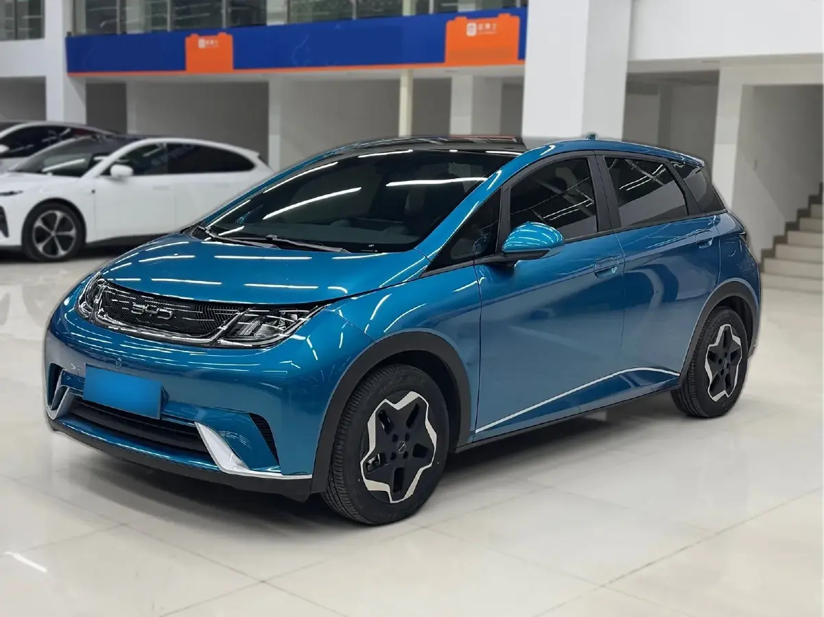 2021 BYD Dolphin BEV 44.9KWH
