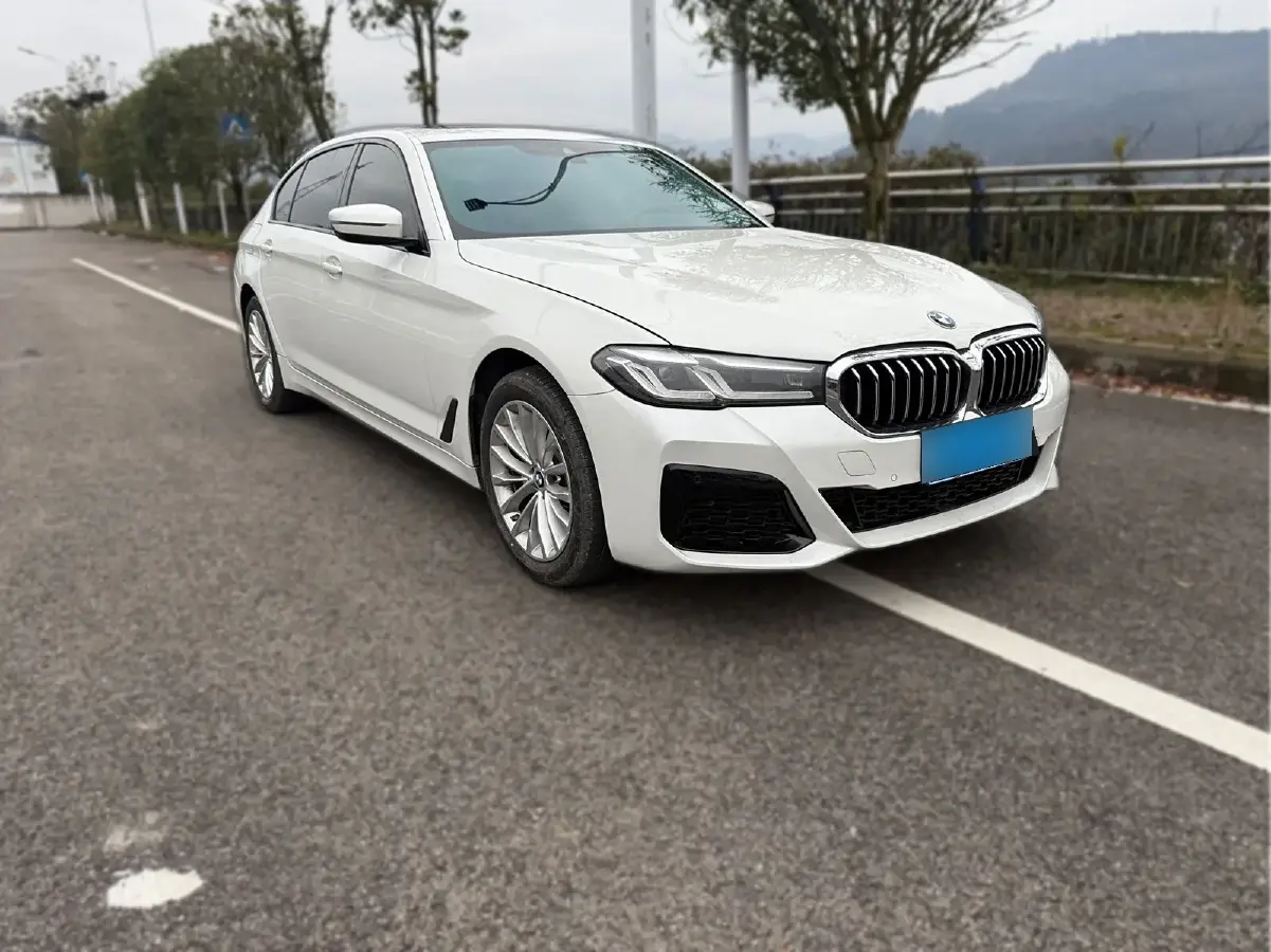 2021 BMW 5 Series 2.0T 184HP L4 8AT