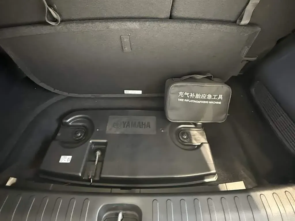 2024 GAC Trumpchi E9 2.0T 190HP L4 2DHT PHEV 25.57KWH,autocango,china used car exporter,china ev exporter,chinese used car exporter,chinese used ev exporter