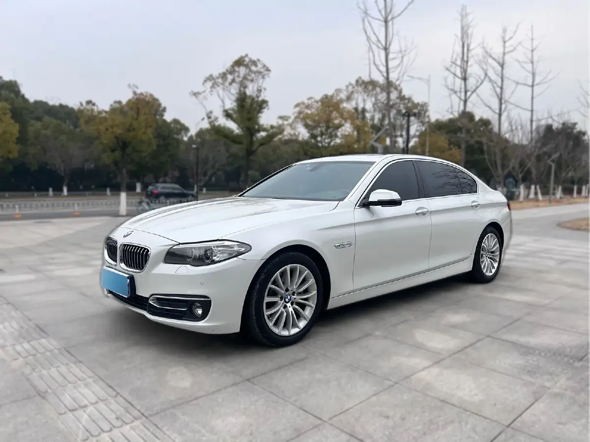 2017 BMW 5 Series 2.0T 218HP L4 8AT