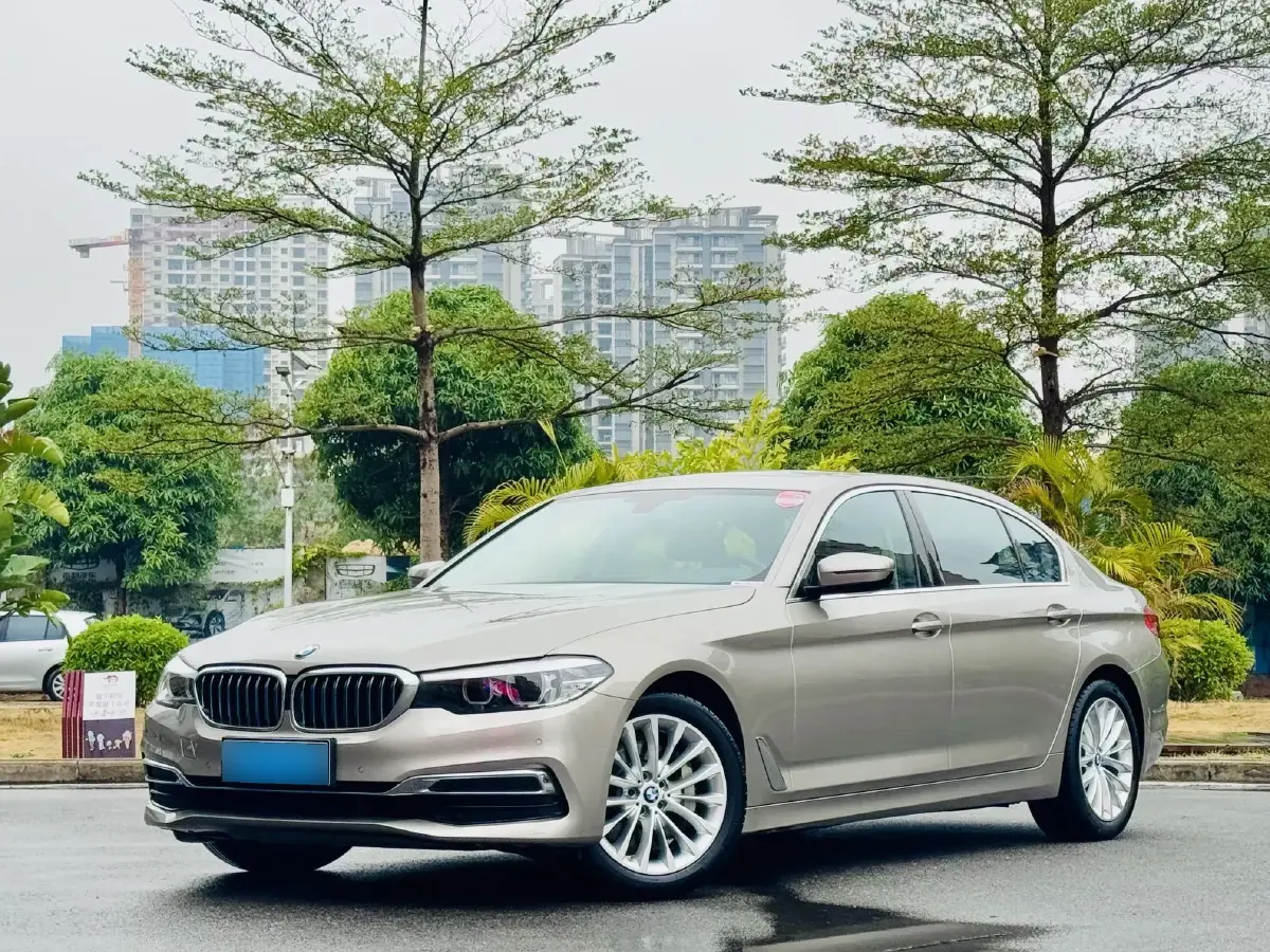 2019 BMW 5 Series 2.0T 252HP L4 8AT