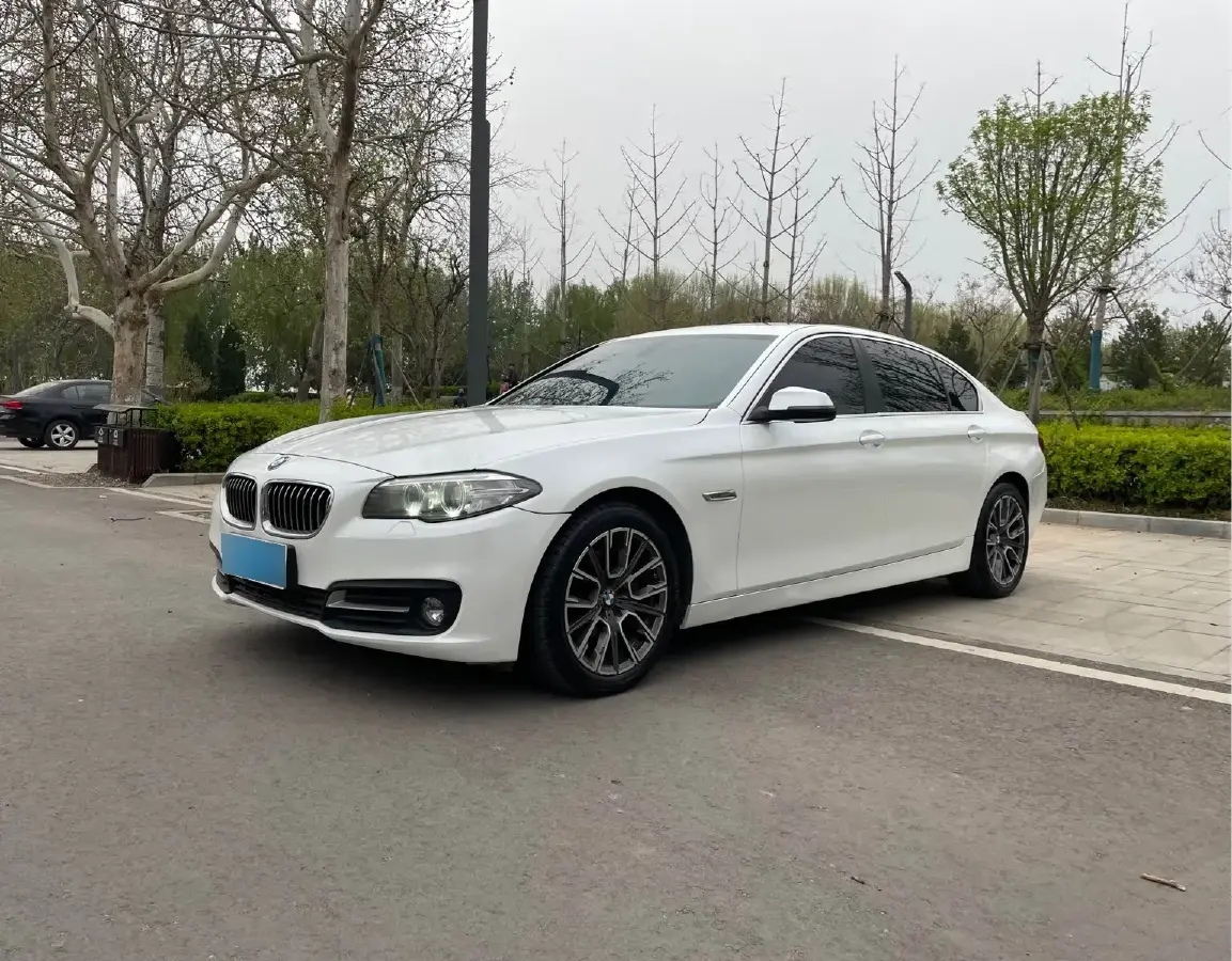 2014 BMW 5 Series 2.0T 218HP L4 8AT