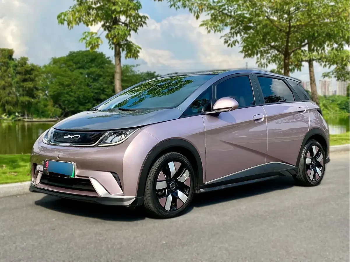 2021 BYD Dolphin BEV 44.9KWH