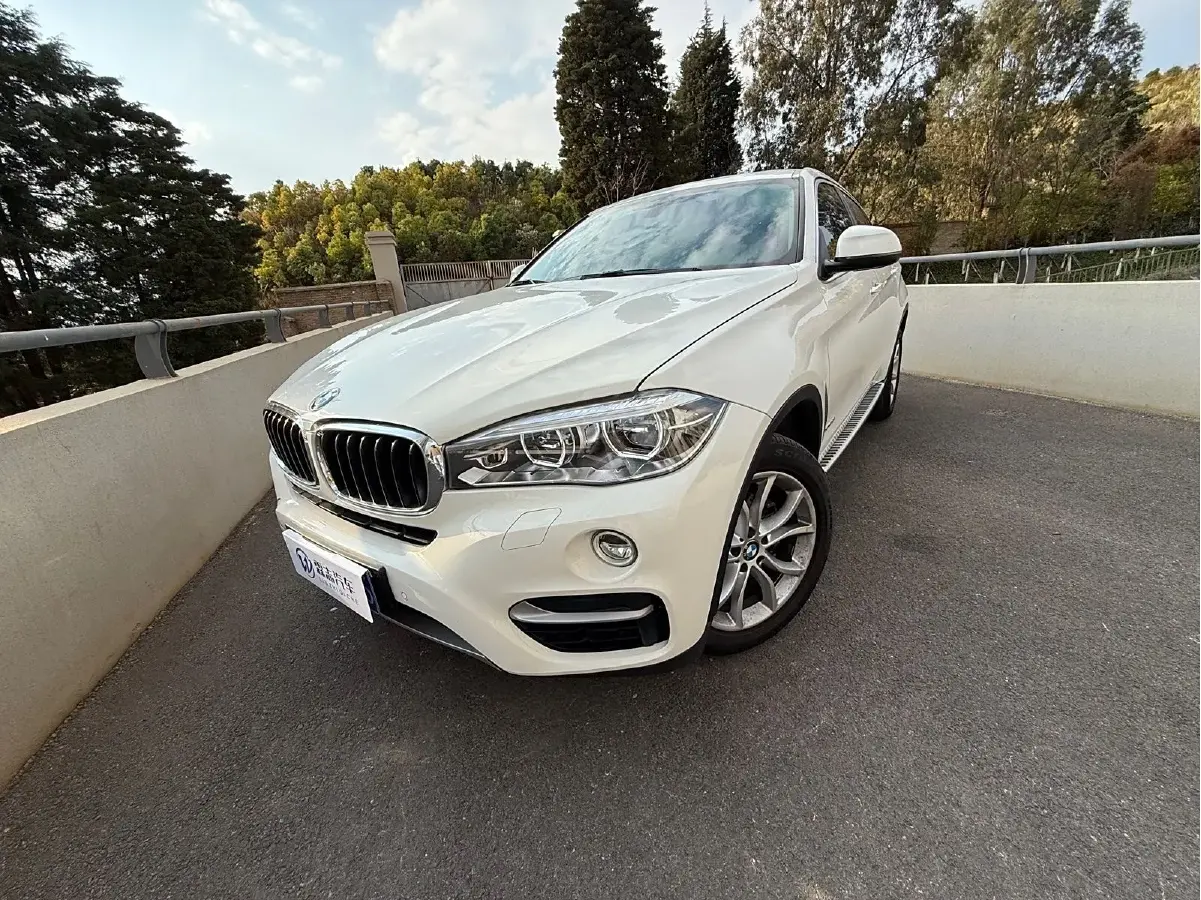 2019 BMW X6 3.0T 306HP L6 8AT