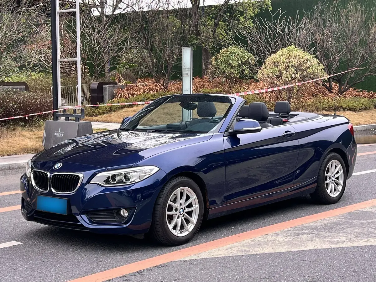 2015 BMW 2 Series 1.5T 136HP L3 8AT