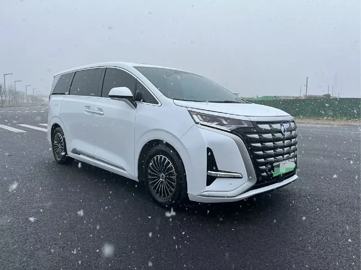 2022 Denza D9 1.5T 139HP L4 E-CVT PHEV 40.06KWH