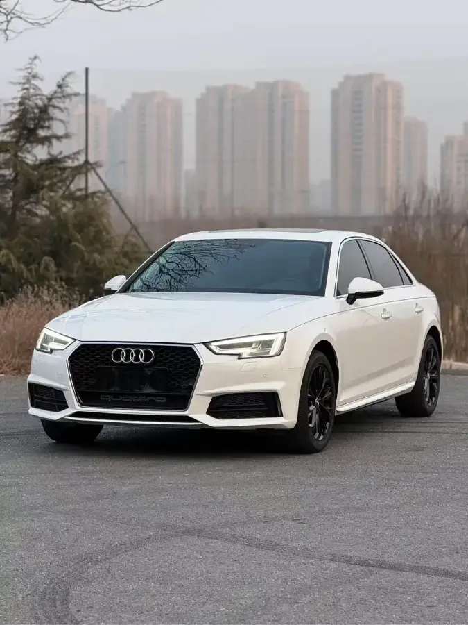 2019 Audi A4L 2.0T 190HP L4 7DCT