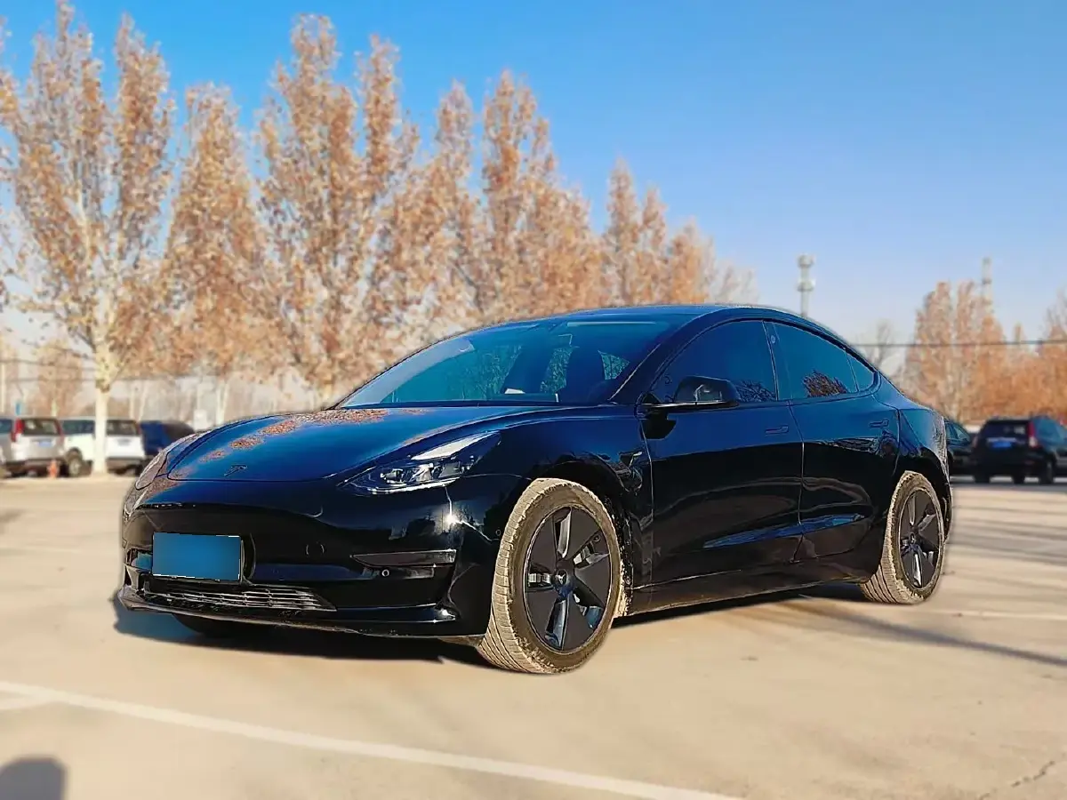 2019 Tesla Model 3 BEV 81KWH