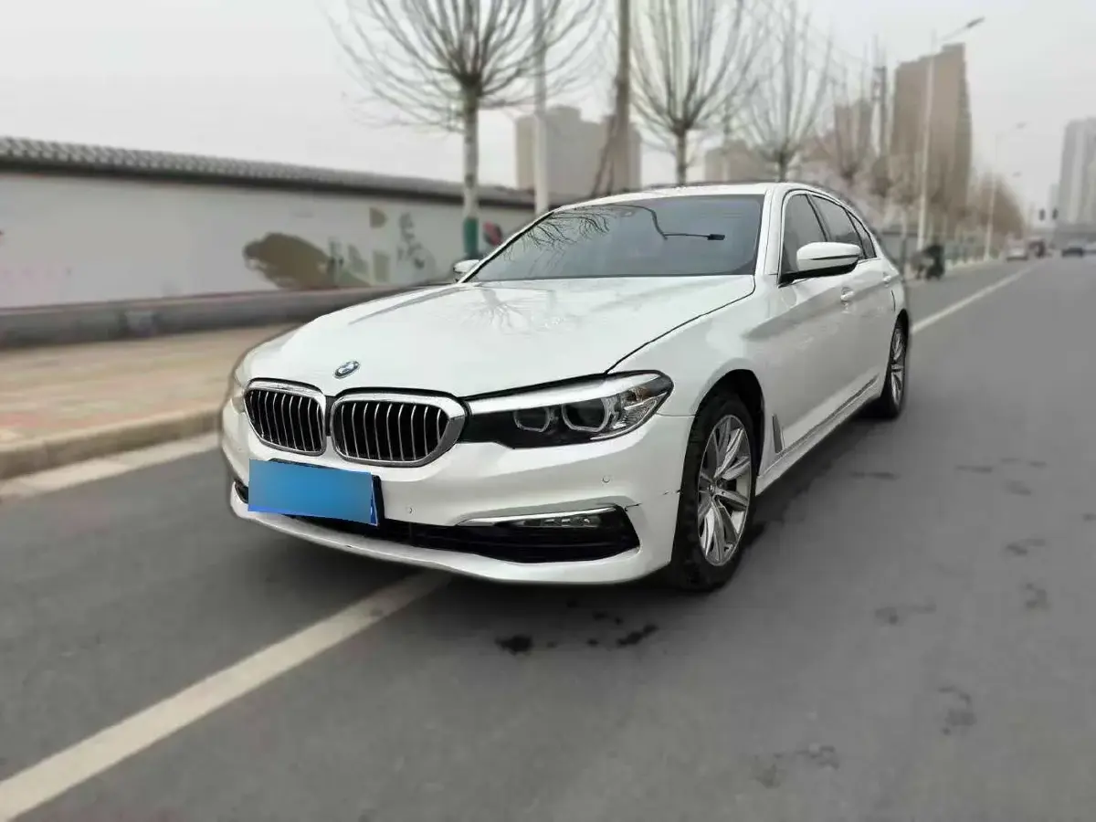 2018 BMW 5 Series 2.0T 224HP L4 8AT
