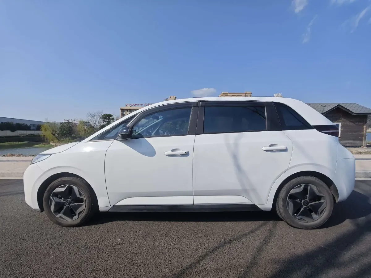 2021 BYD D1 BEV 53.6KWH,autocango,china used car exporter,china ev exporter,chinese used car exporter,chinese used ev exporter