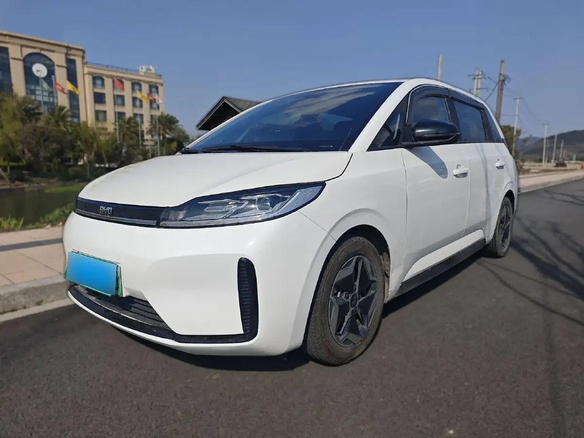 2021 BYD D1 BEV 53.6KWH