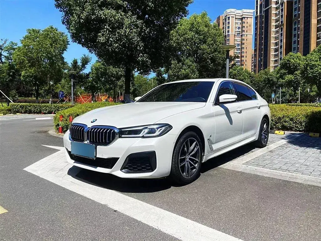 2021 BMW 5 Series 2.0T 184HP L4 8AT