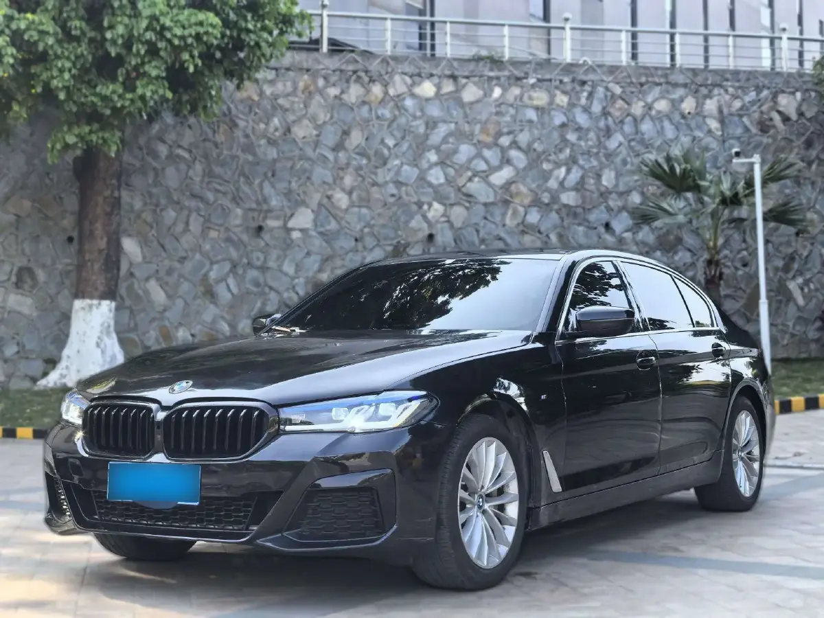 2018 BMW 5 Series 2.0T 252HP L4 8AT