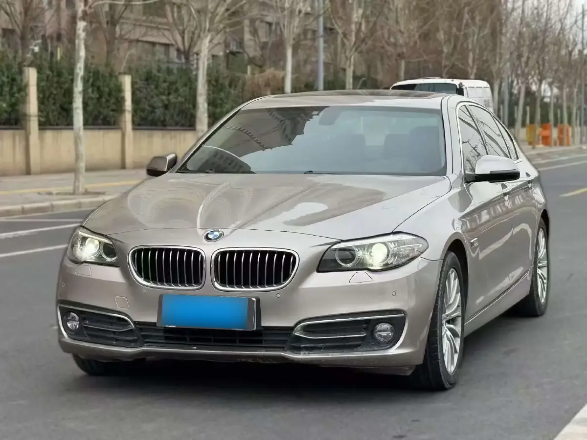 2017 BMW 5 Series 2.0T 218HP L4 8AT