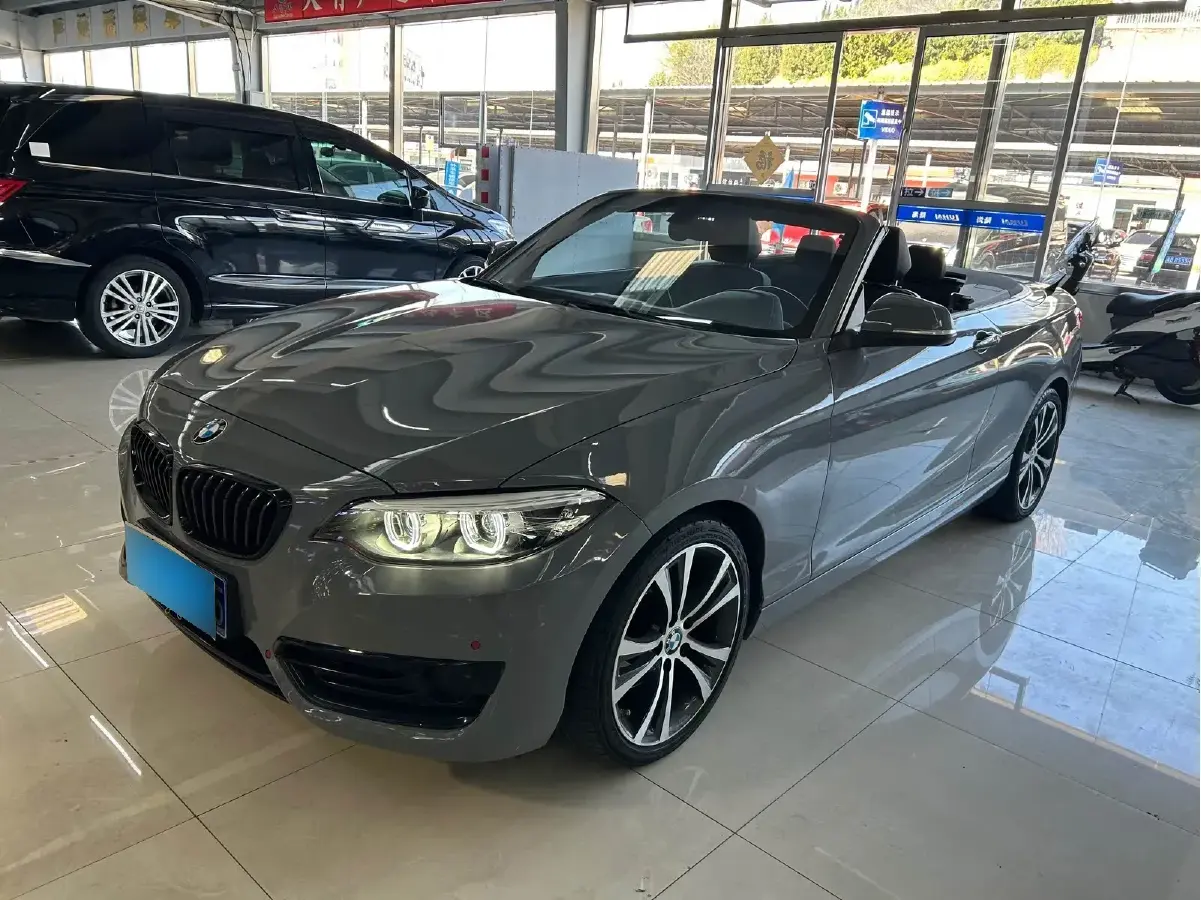 2019 BMW 2 Series 2.0T 184HP L4 8AT
