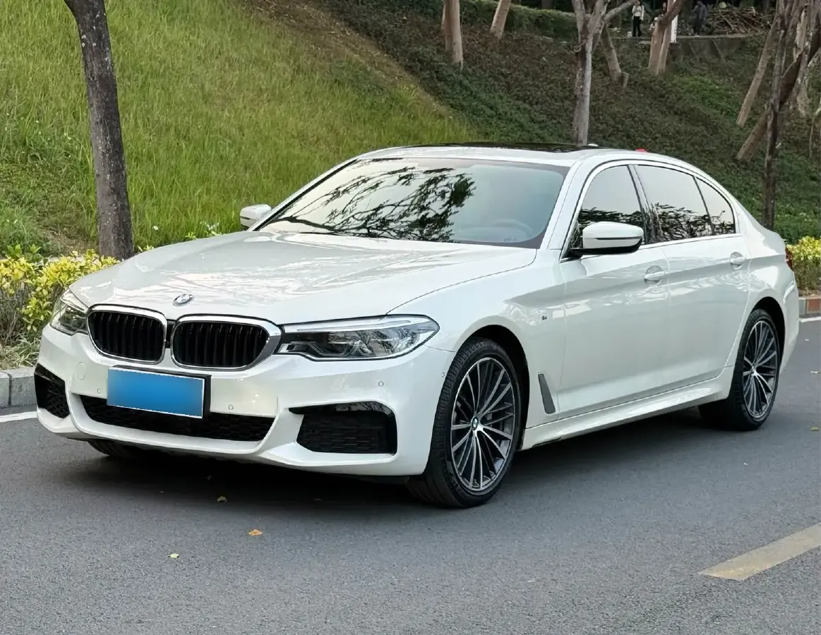2020 BMW 5 Series 2.0T 252HP L4 8AT