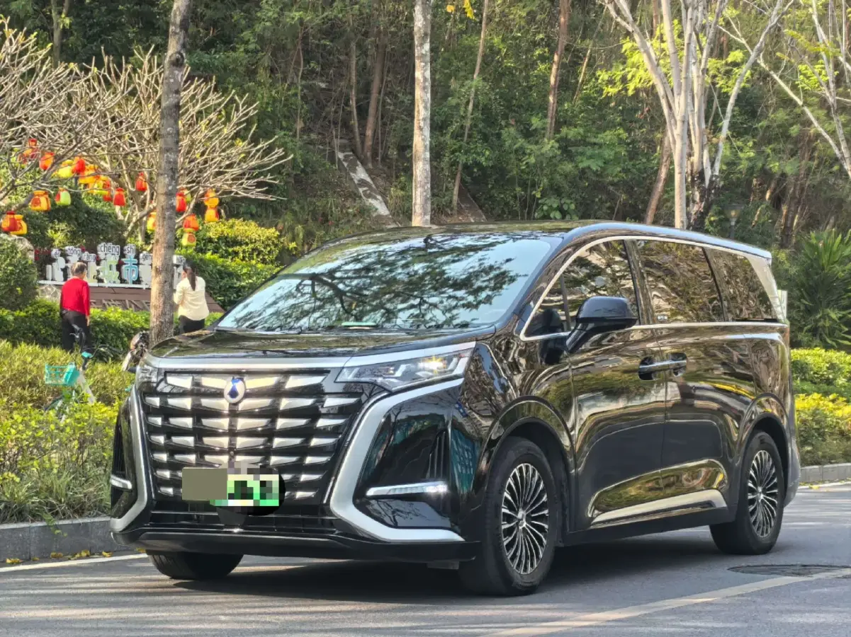 2022 Denza D9 1.5T 139HP L4 E-CVT PHEV 40.06KWH