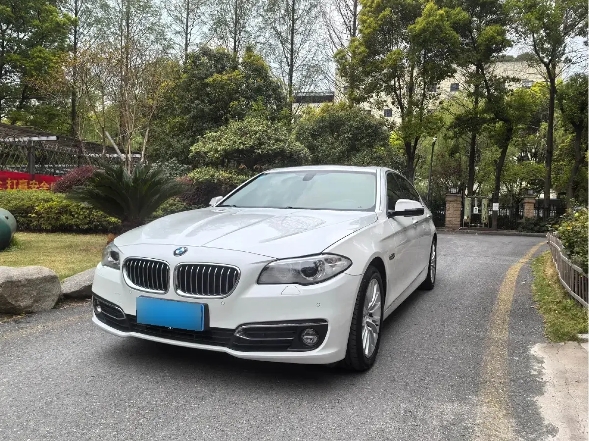 2017 BMW 5 Series 2.0T 218HP L4 8AT